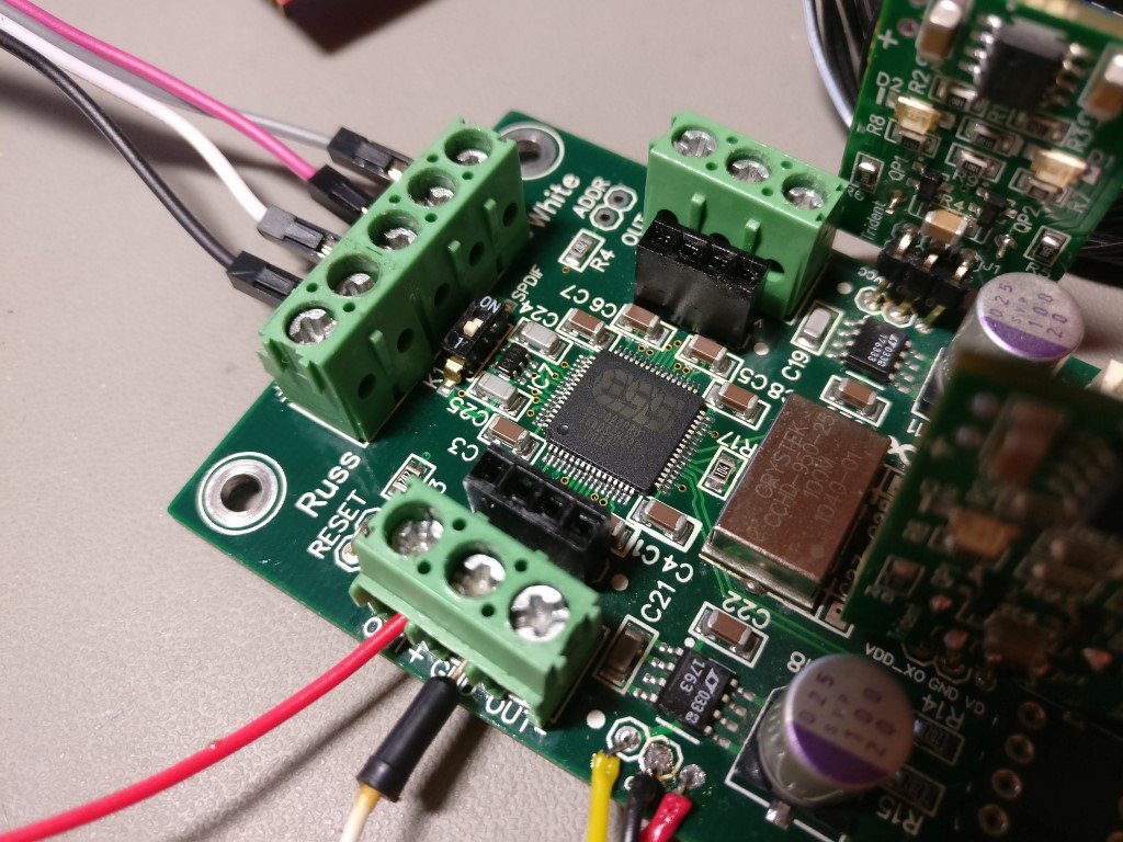 Buffalo_II_9028_1 (Medium).jpg