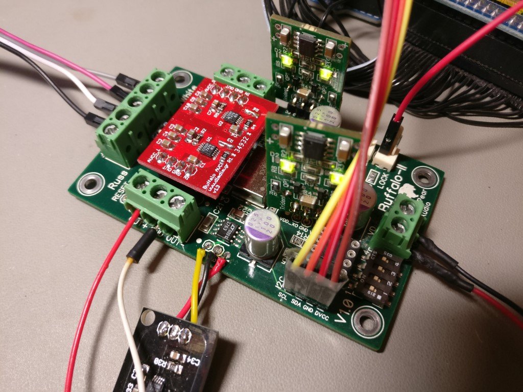 Buffalo_II_9028_2 (Medium).jpg