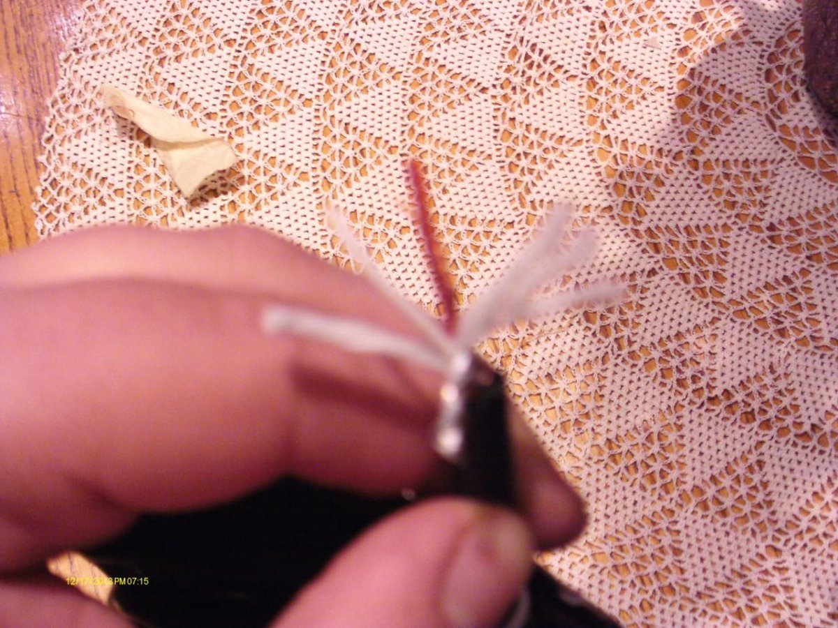 IMAG0024.jpg IMAG0024.jpg