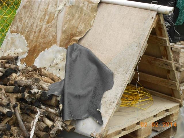 DSCN1190 (Small).jpg