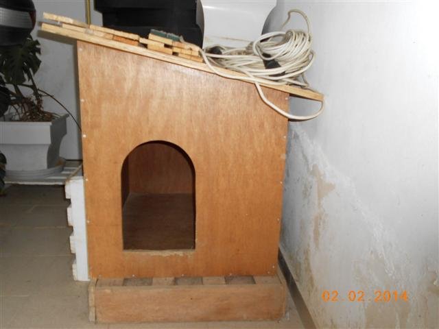 DSCN1193 (Small).jpg