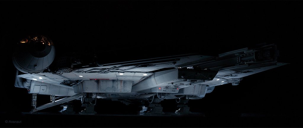 Superb ventral lighting.jpg