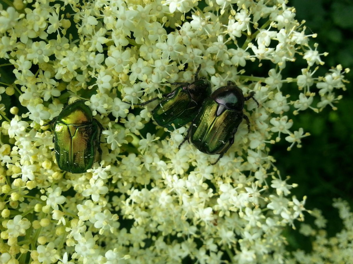 20160512_141631.jpg