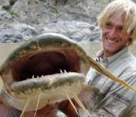 ΓΒΏΓΒΓΒ―ΓΖΓβΓΒ΅, ΓΒΊΓΒΓΒΓΒΉΓΒΏΓΒΉ!.jpg