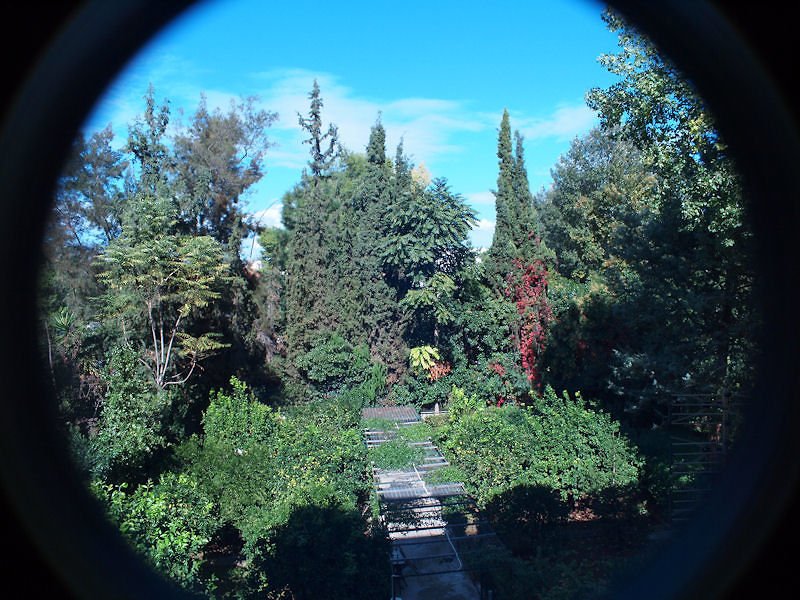 20091024_198 RESIZED.JPG