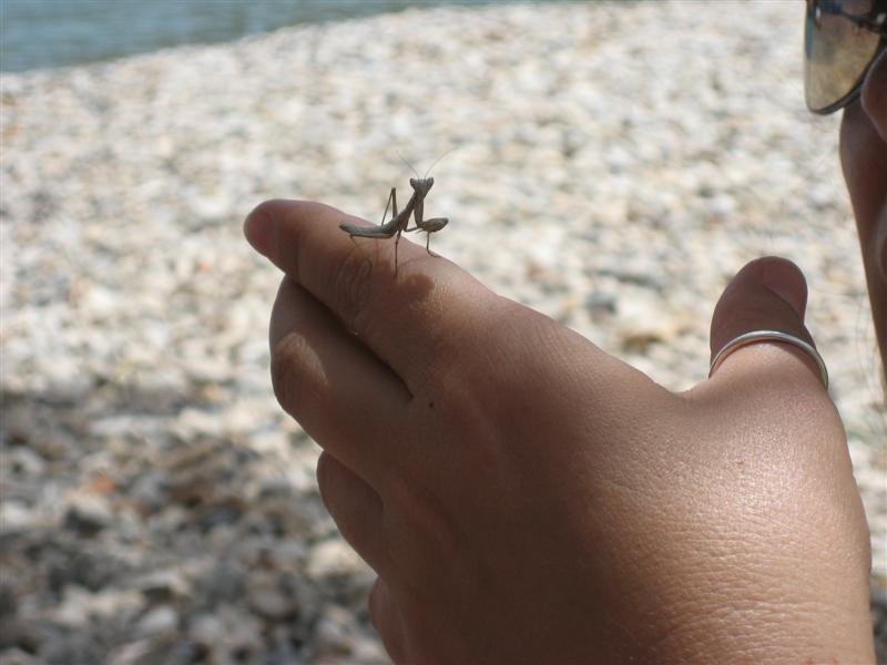 IMG_0023 (Medium).JPG