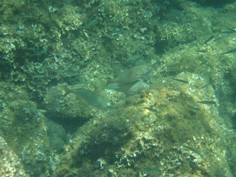 IMG_0047 (Medium).JPG