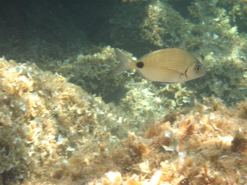 IMG_0053 (Medium).JPG