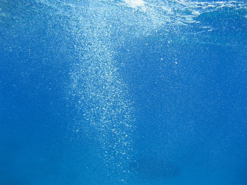 IMG_0058 (Medium).JPG