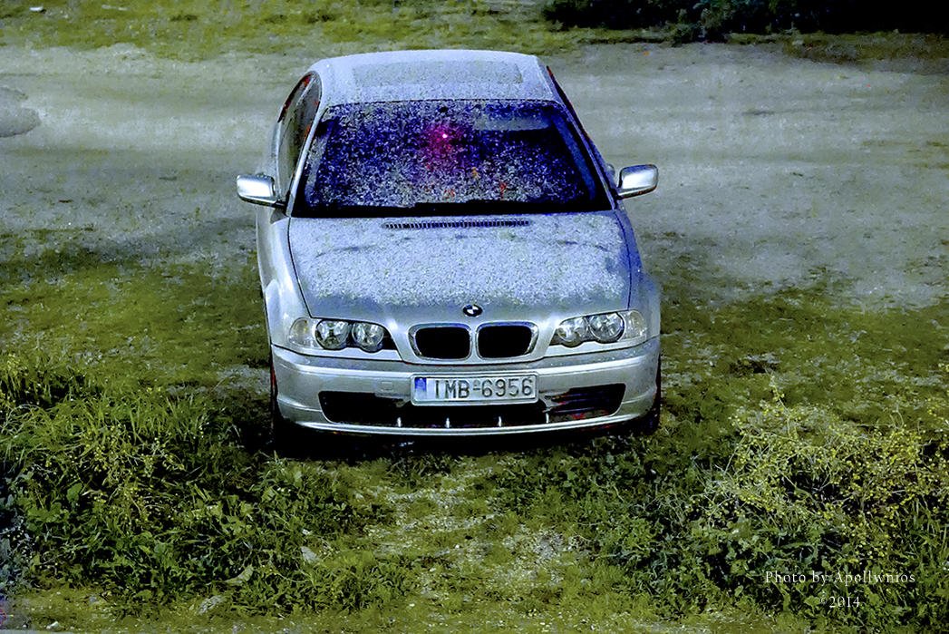 _DSC7781 Γβ‘.jpg