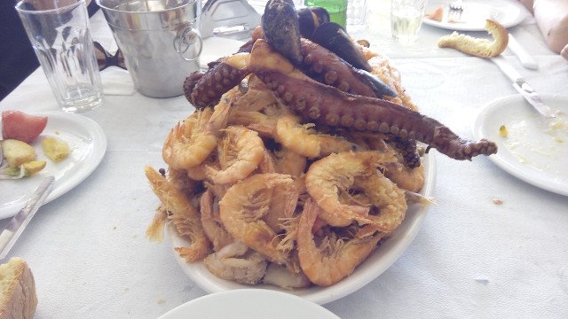 IMG_20160515_135626.jpg IMG_20160515_135626.jpg