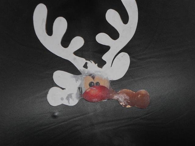 DSCN1733 (Small).JPG DSCN1733 (Small).JPG