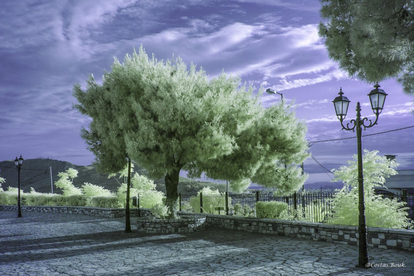 ΓβΓΒ±Γβ¬ΓβΓΒΉΓΖΓΒ· ΓΛΓΒ±ΓΒ»ΓΒ΅ΓΒΉΓΒ±Γβ--80.jpg