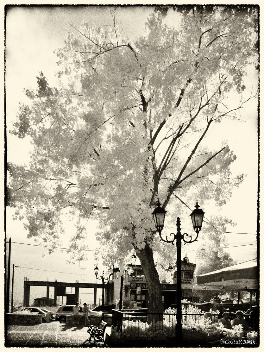 ΓβΓΒ±Γβ¬ΓβΓΒΉΓΖΓΒ· ΓΛΓΒ±ΓΒ»ΓΒ΅ΓΒΉΓΒ±Γβ--84.jpg