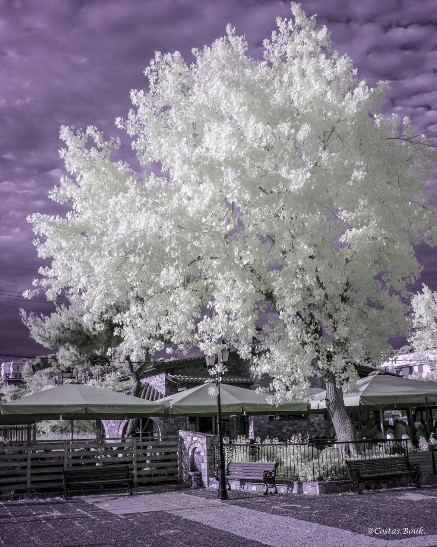 ΓβΓΒ±Γβ¬ΓβΓΒΉΓΖΓΒ· ΓΛΓΒ±ΓΒ»ΓΒ΅ΓΒΉΓΒ±Γβ--79.jpg