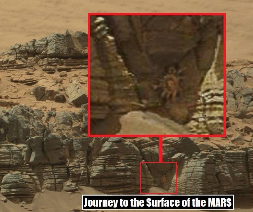 Martian crab.jpg