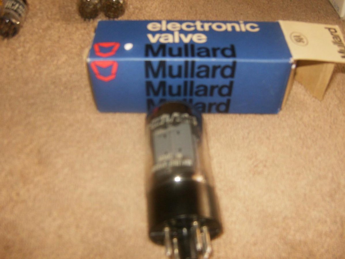 ΓΒ»ΓΒ±ΓΒΌΓβ¬ΓΒ΅Γβ 016.jpg