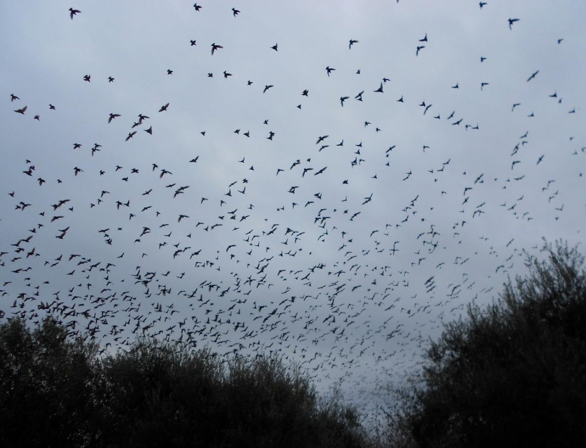 DSCN1591 (Large).jpg