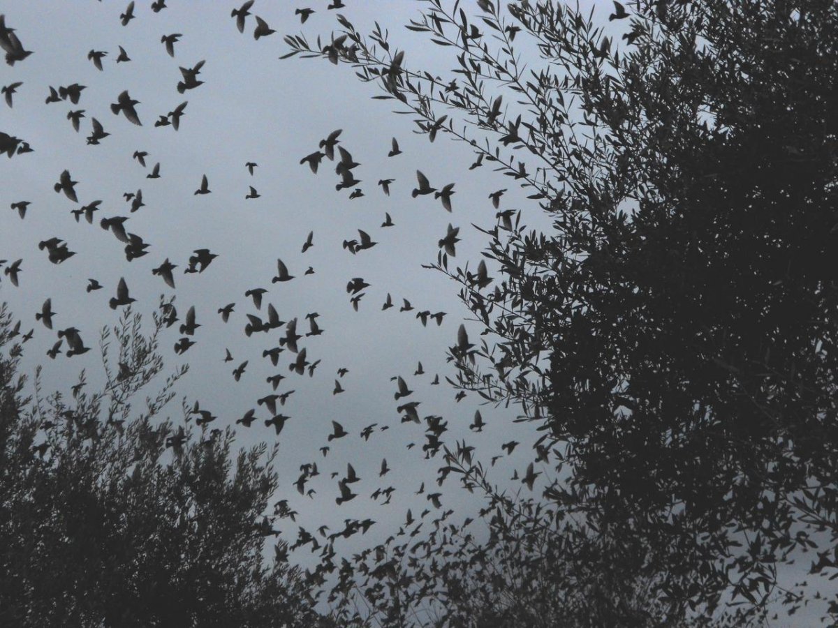 DSCN1592 (Large).jpg