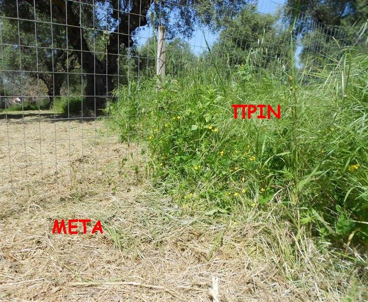 DSCN1804 (Medium).JPG