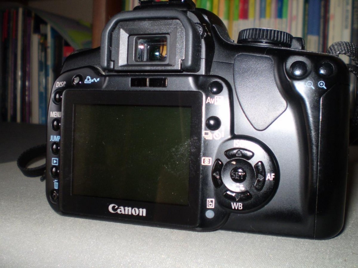 P3260078.jpg