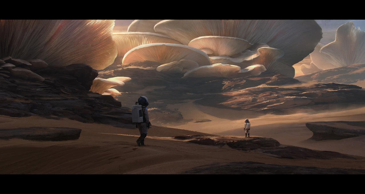 05 Florent Lebrun - Mushroom land.jpg