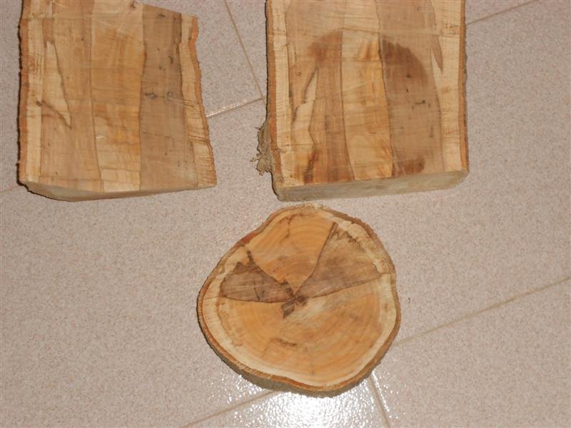 DSCN1685 (Medium).JPG