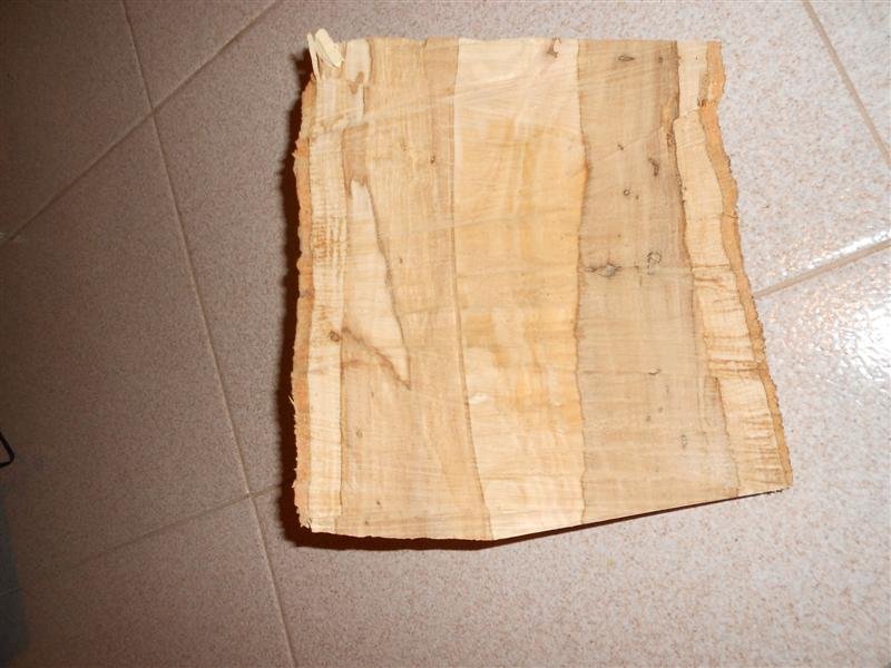 DSCN1684 (Medium).JPG