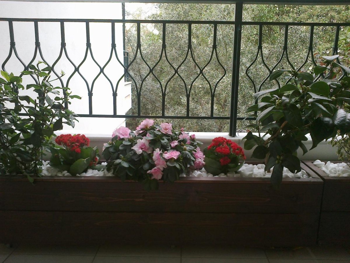 06102014032.jpg