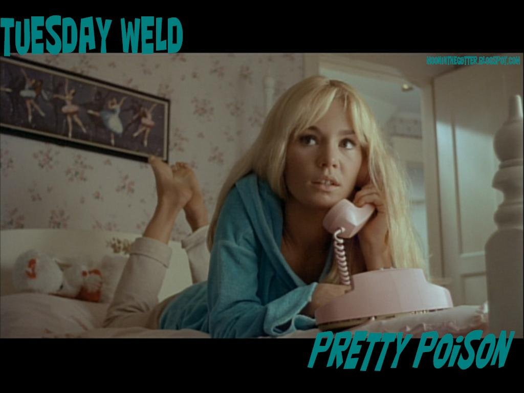 Pretty Poison Wallpaper 3.JPG