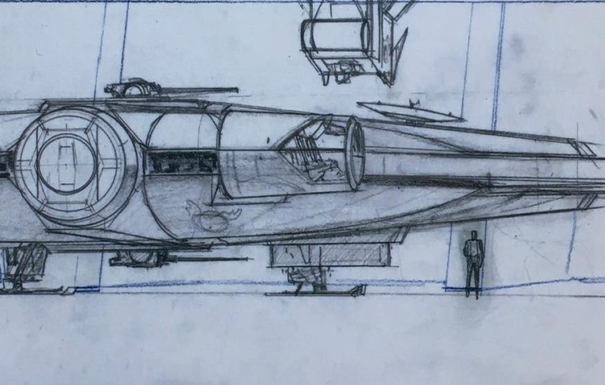 360 panoramic canopy.jpg